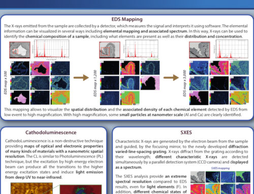 Microscopie corrélative sur une pyrite : analyses BED, Raman, EDS, CL et SXES