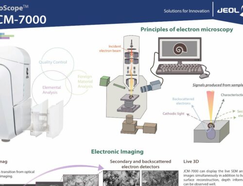 NeoScope JCM-7000 – Le MEB de table intuitif, flexible et puissant