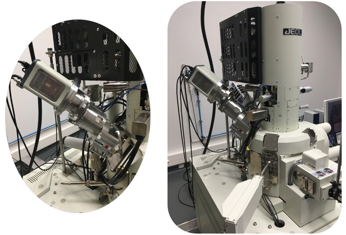 Microscope électronique à transmission - JEM-F200 - Jeol - pour