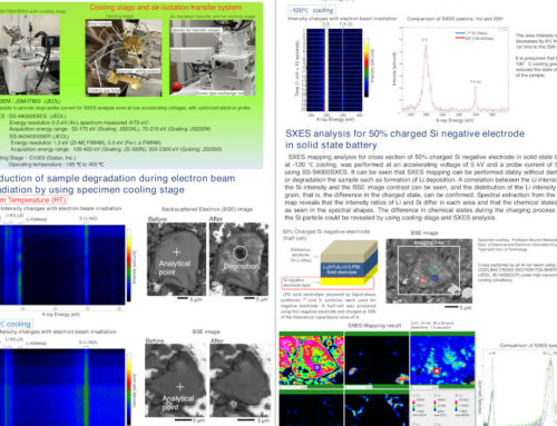 Improvement of SEM-SXES analysis for beam sensitive materials by using cooling stage