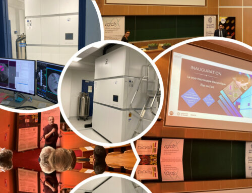 🎉 Inauguration du CRYO ARM™ 200 à Rennes