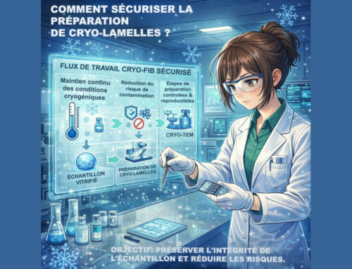 Comment sécuriser la préparation de cryo‑lamelles à partir d&rsquo;un échantillon vitrifié jusqu&rsquo;au cryo‑MET ?